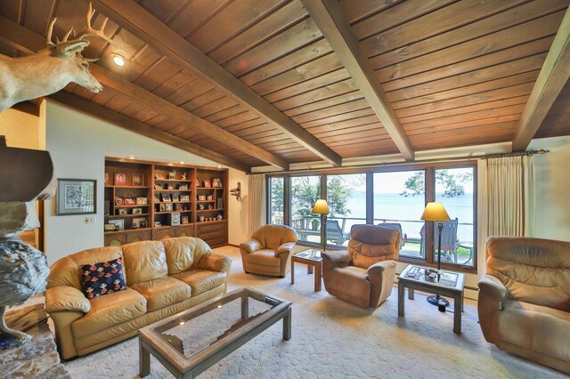 2072 Bluebill Ln SW, Nisswa, MN 56468 - carpeted living area with wooden ceiling and a baseboard heating unit