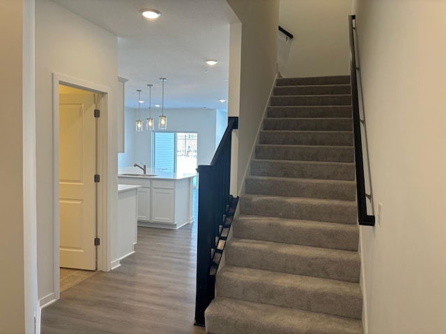 1763 Hauer Trl, Shakopee, MN 55379 - staircase featuring wood finished floors, recessed lighting, and baseboards