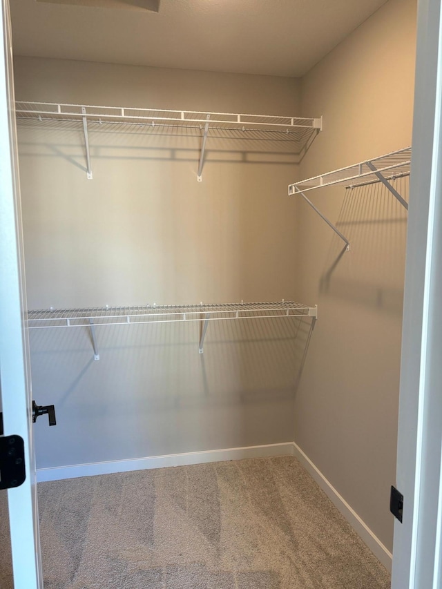 1763 Hauer Trl, Shakopee, MN 55379 - spacious closet featuring carpet floors