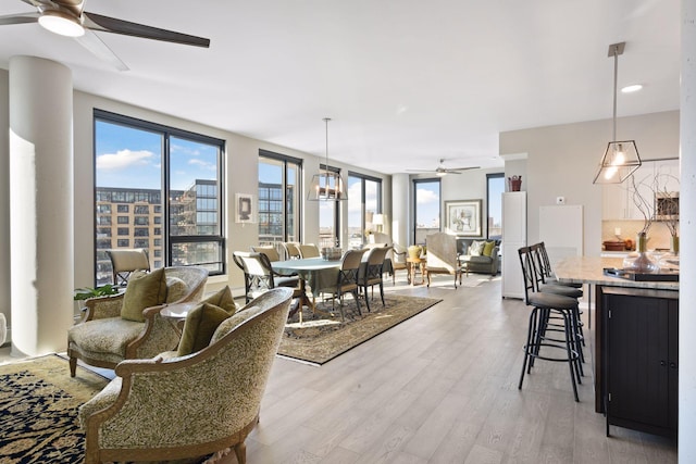 living area featuring a ceiling fan and light wood-style flooring