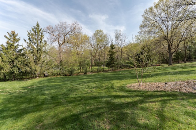 view of green lawn