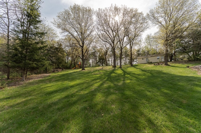 view of green lawn