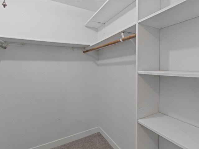 spacious closet with carpet flooring