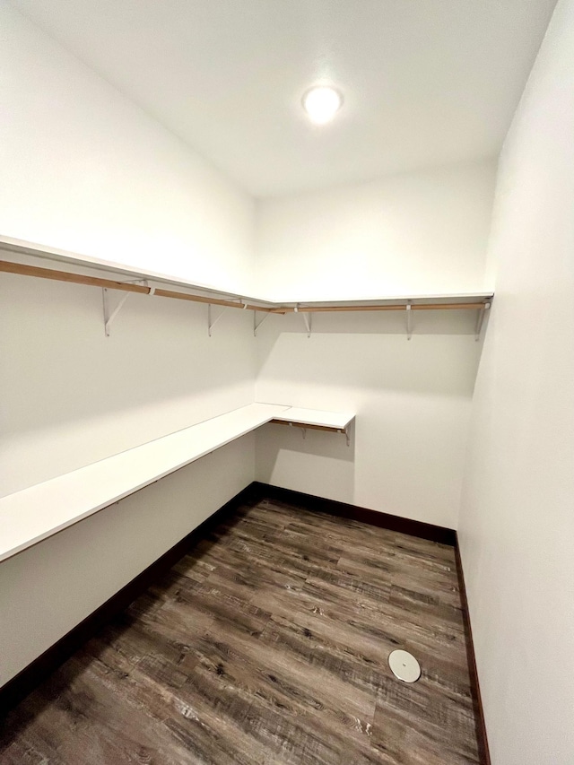 walk in closet featuring dark wood-style flooring