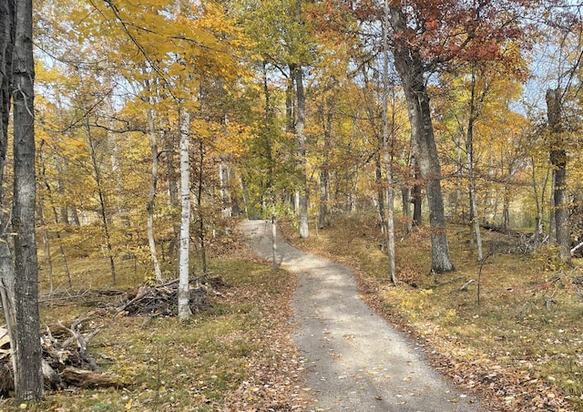 view of road featuring a wooded view
