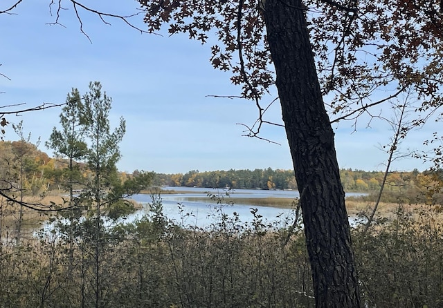 water view featuring a view of trees