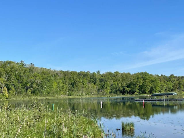 water view featuring a wooded view