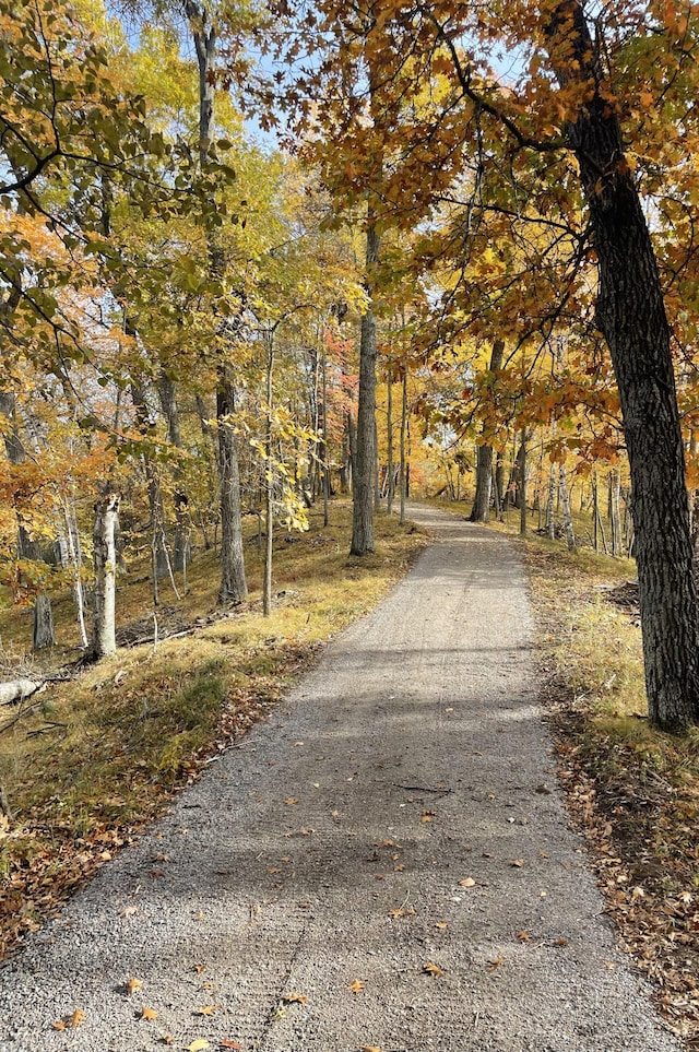 8038 Lost Lake Rd Tbd, Unit Tbd, Lake Shore, MN 56468 - photo 22
