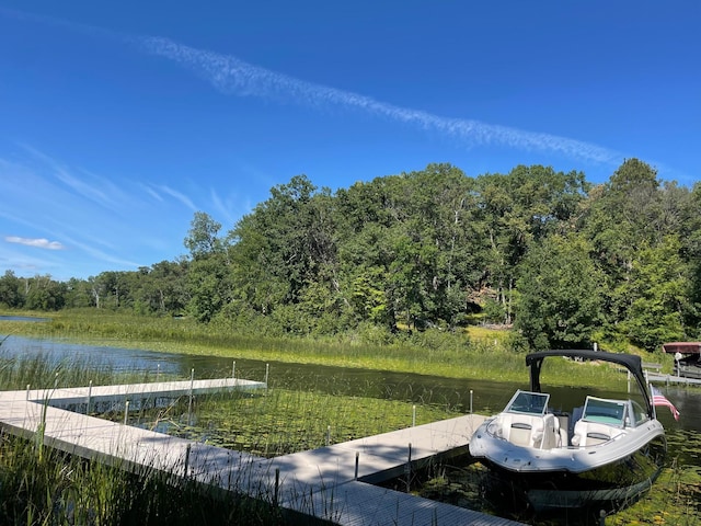 8038 Lost Lake Rd Tbd, Unit Tbd, Lake Shore, MN 56468 - photo 23