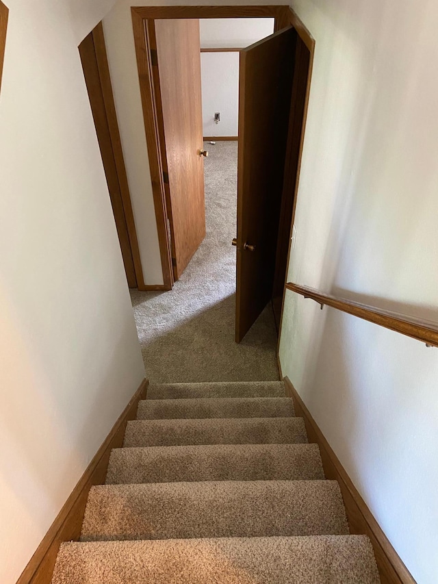 204 8th St N, Sartell, MN 56377 - staircase featuring carpet