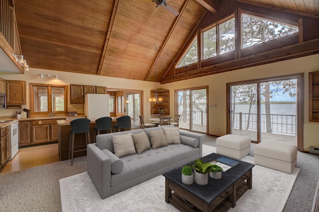 10121 Comstock Rd, Hayward, WI 54843 - living area featuring wooden ceiling with exposed beams, high vaulted ceiling, light colored carpet, a water view, and baseboards