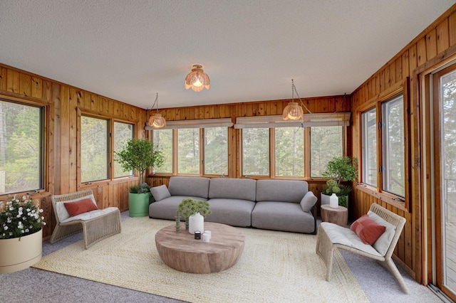 10121 Comstock Rd, Hayward, WI 54843 - sunroom / solarium with wooden walls, carpet floors, and a textured ceiling