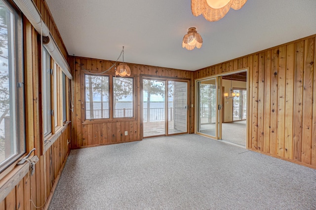 10121 Comstock Rd, Hayward, WI 54843 - unfurnished sunroom featuring carpet, wood walls, baseboards, and a water view