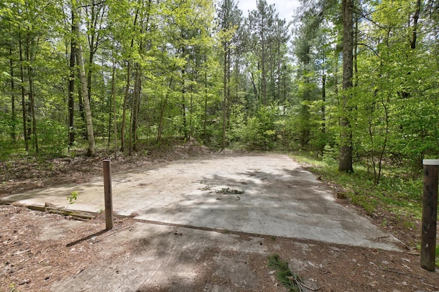 10121 Comstock Rd, Hayward, WI 54843 - view of road with a wooded view