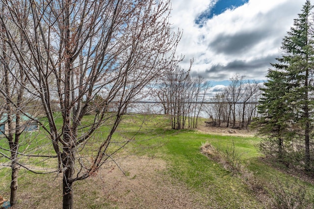 23898 324th Ave, Sverdrup Twp, MN 56586 - view of yard