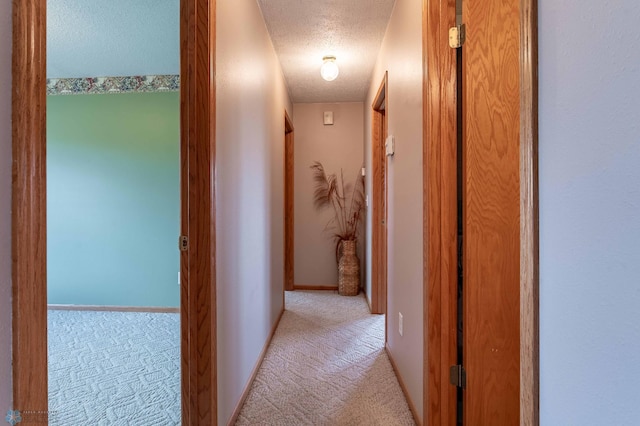 23898 324th Ave, Sverdrup Twp, MN 56586 - corridor with light carpet and a textured ceiling