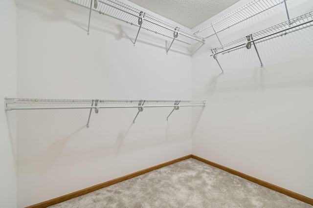spacious closet with carpet floors