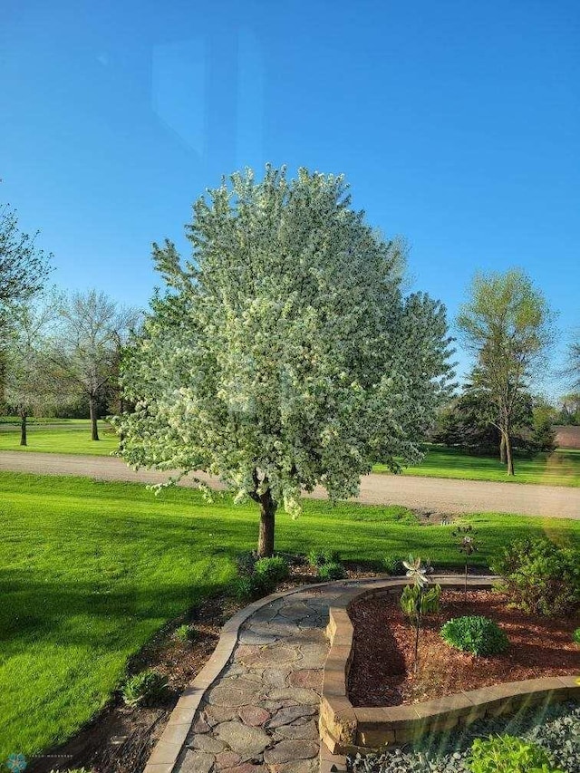 6435 172nd Ave SE, Colfax, ND 58018 - view of home's community with a yard