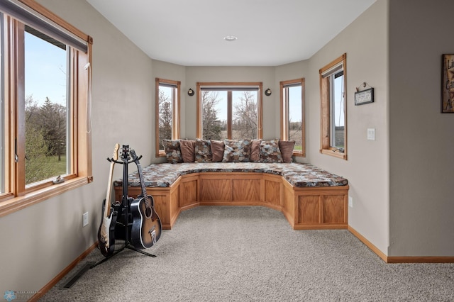 6435 172nd Ave SE, Colfax, ND 58018 - interior space with baseboards and light colored carpet