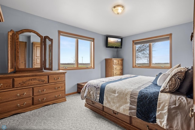 6435 172nd Ave SE, Colfax, ND 58018 - bedroom with baseboards and light colored carpet