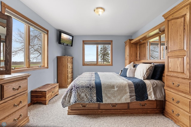6435 172nd Ave SE, Colfax, ND 58018 - bedroom with light carpet and multiple windows