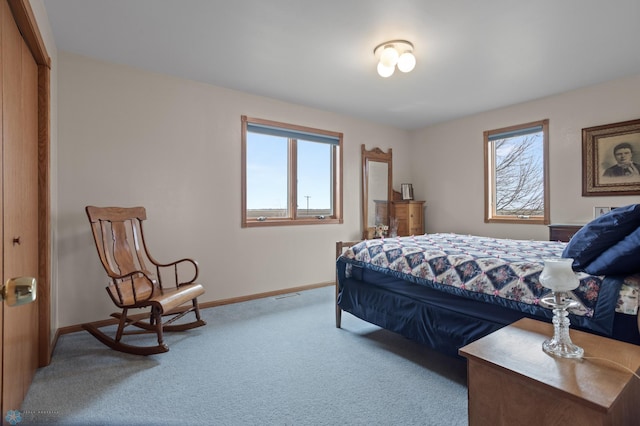 6435 172nd Ave SE, Colfax, ND 58018 - carpeted bedroom featuring baseboards and multiple windows