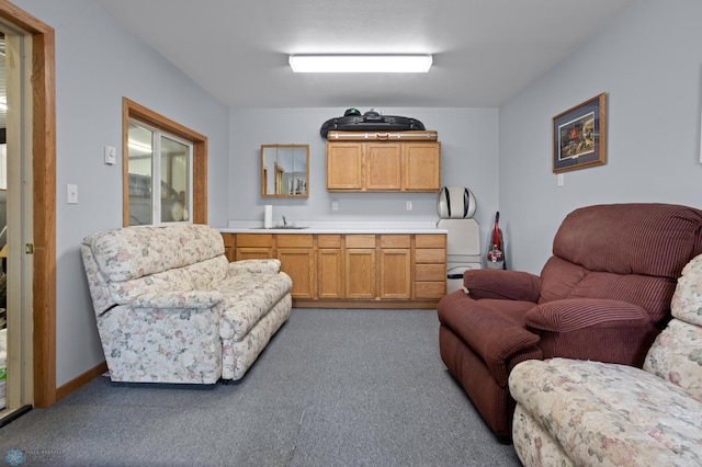 6435 172nd Ave SE, Colfax, ND 58018 - living area featuring carpet floors