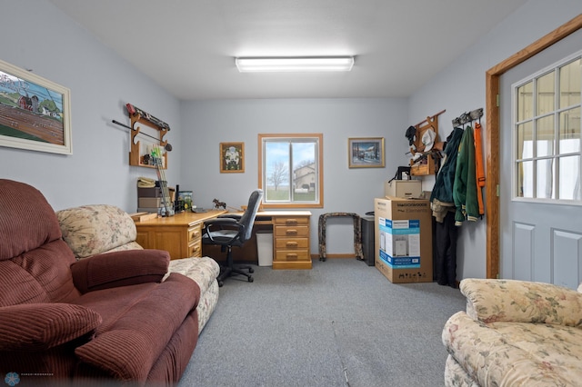 6435 172nd Ave SE, Colfax, ND 58018 - office space with light colored carpet