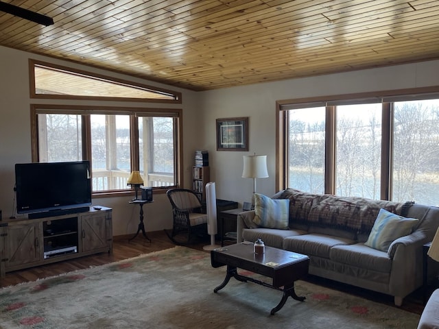 living room featuring wood ceiling, wood finished floors, and a healthy amount of sunlight