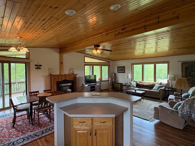27588 226th St, Underwood, MN 56586 - kitchen featuring open floor plan, a glass covered fireplace, plenty of natural light, wood finished floors, and wooden ceiling