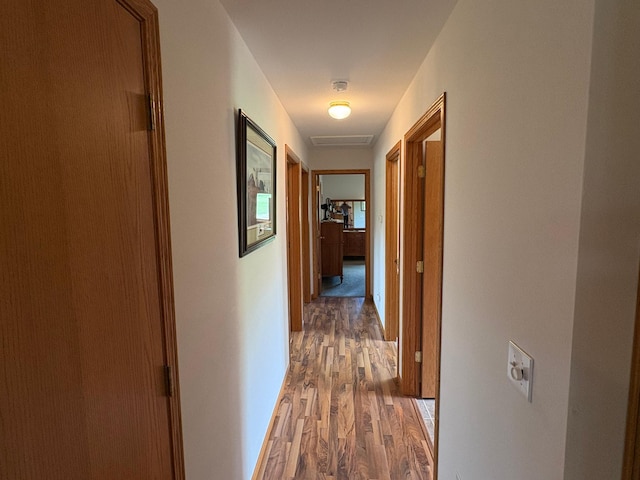 27588 226th St, Underwood, MN 56586 - hall with light wood finished floors