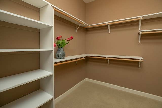 4051 Autumn Lake Ct SW, Rochester, MN 55902 - spacious closet featuring carpet