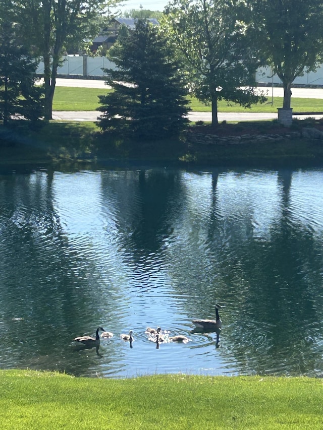 4051 Autumn Lake Ct SW, Rochester, MN 55902 - water view