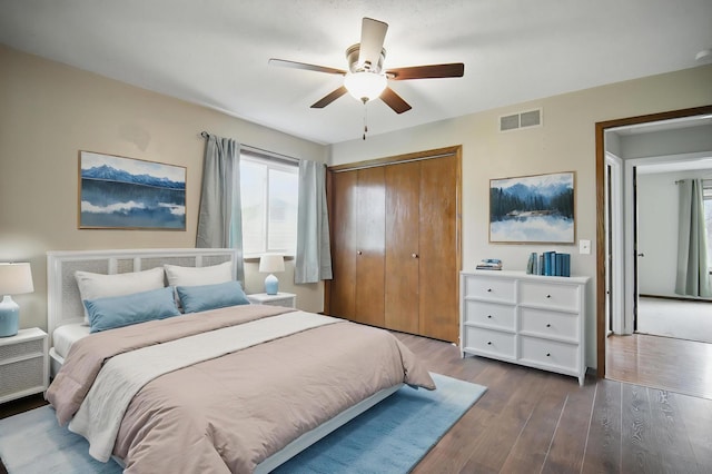 bedroom featuring wood finished floors, multiple windows, a closet, and ceiling fan