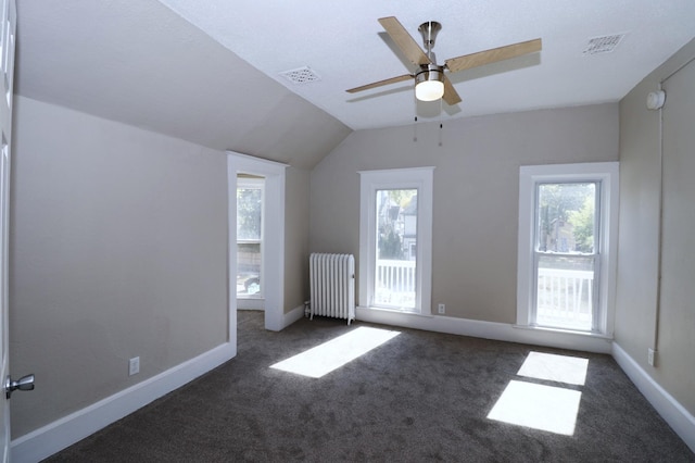 238 Lincoln St, Mankato, MN 56001 - additional living space with carpet floors, radiator heating unit, a healthy amount of sunlight, lofted ceiling, and visible vents