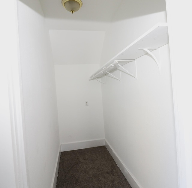 238 Lincoln St, Mankato, MN 56001 - walk in closet with dark carpet