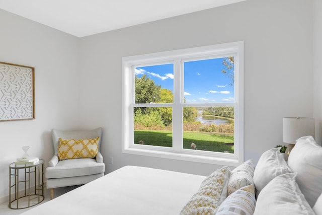 bedroom featuring baseboards and multiple windows