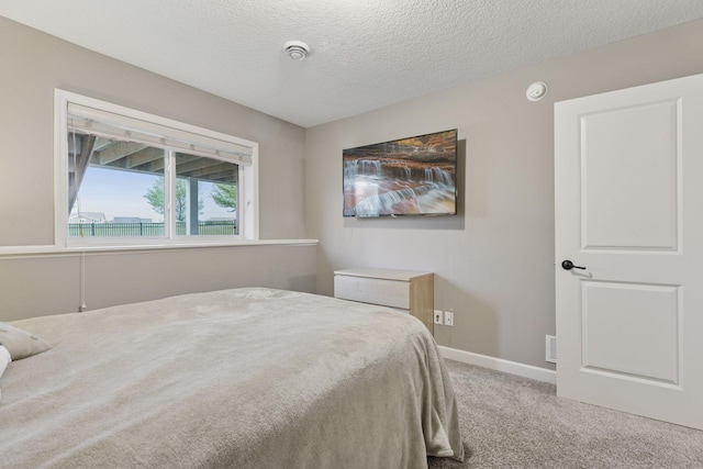 6573 Bridle Path, Corcoran, MN 55340 - bedroom with carpet flooring, a textured ceiling, and baseboards