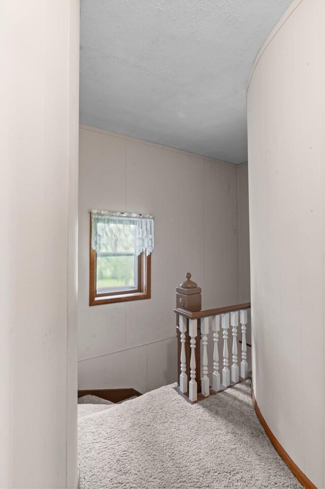 52905 Deerwood Ave, Rush City, MN 55069 - stairway with carpet