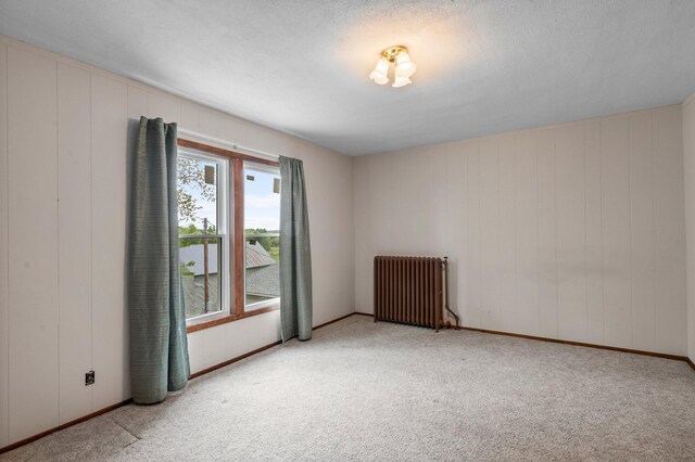 52905 Deerwood Ave, Rush City, MN 55069 - spare room featuring radiator heating unit, carpet, and baseboards
