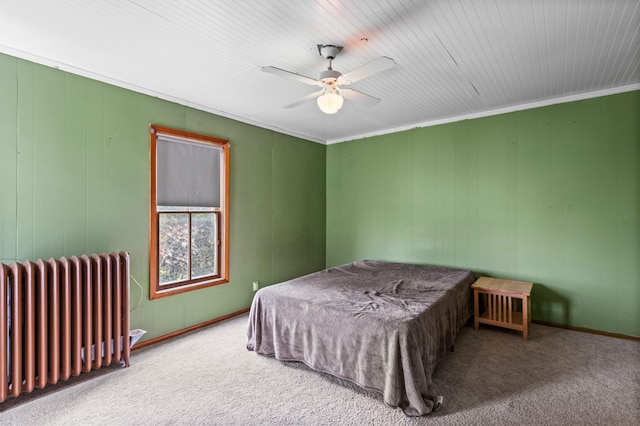 52905 Deerwood Ave, Rush City, MN 55069 - bedroom with radiator, carpet flooring, ceiling fan, and crown molding