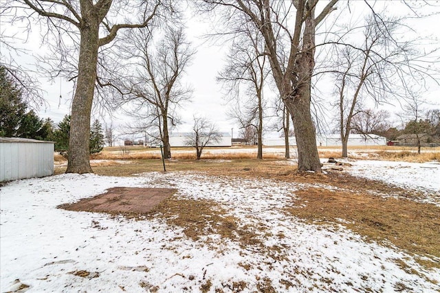 view of yard covered in snow