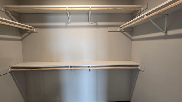 10815 190th Ln NW, Elk River, MN 55330 - view of spacious closet