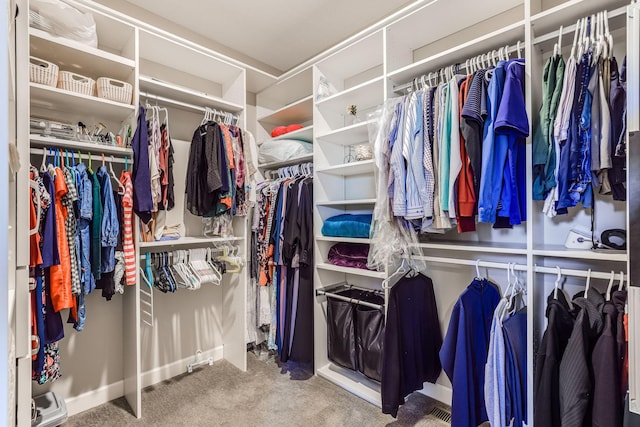 walk in closet with carpet flooring