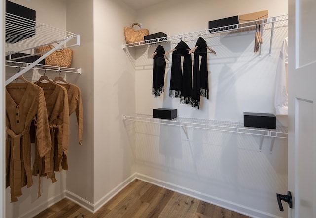 walk in closet featuring wood finished floors