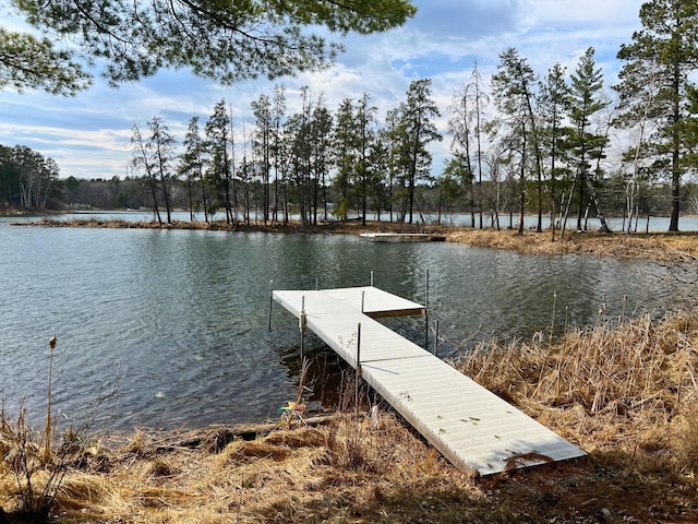 22175 Grand Pines Trl, Nevis, MN 56467 - photo 1