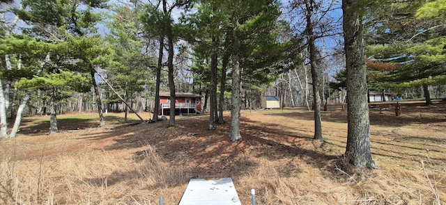 22175 Grand Pines Trl, Nevis, MN 56467 - photo 4