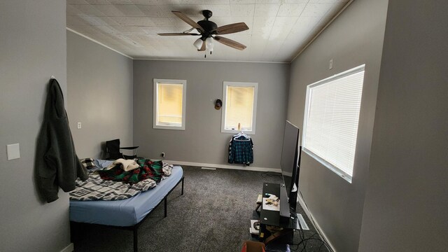 1110 Oakland Ave, Austin, MN 55912 - sitting room with ornamental molding, carpet flooring, healthy amount of natural light, ceiling fan, and baseboards
