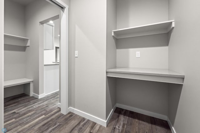 spacious closet featuring wood finished floors