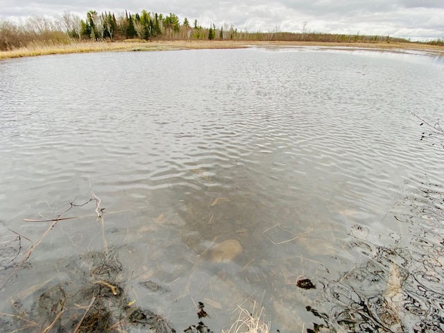 view of water feature